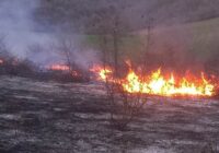 Օխտար գյուղում այրվել է մոտ 5 հա բուսածածկույթ